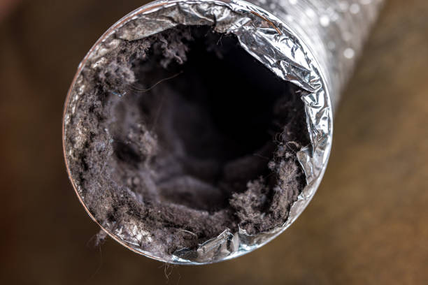 Best Best Air Duct Cleaning Near Me  in Alma, NE