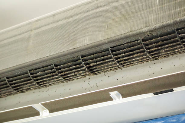 Best Residential Air Duct Cleaning  in Alma, NE