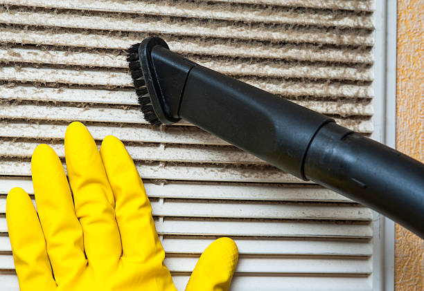 Best Home Air Vent Cleaning  in Alma, NE